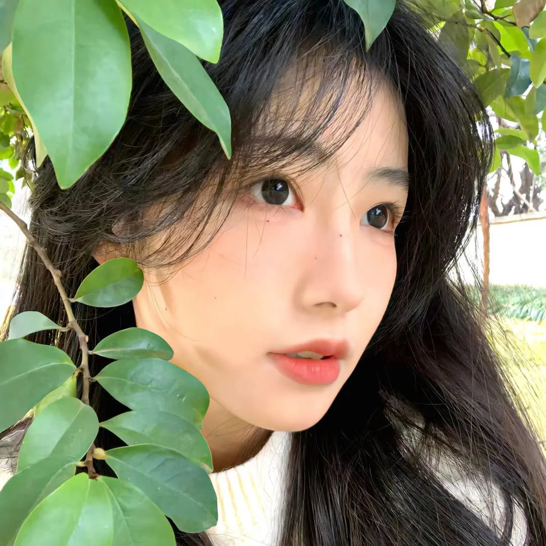 亲爱的律师小姐